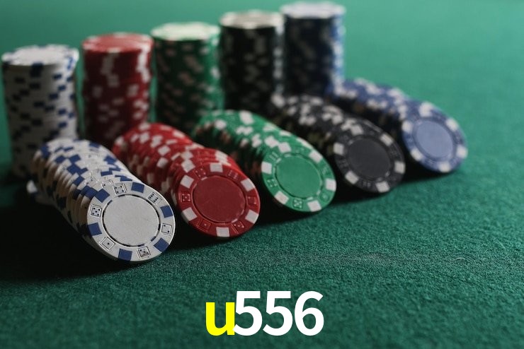 Security Systems u556