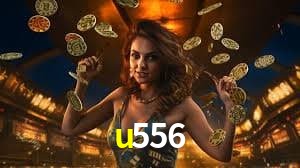 Platform Technology u556