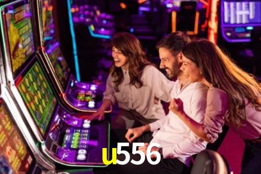 Interface Premium u556